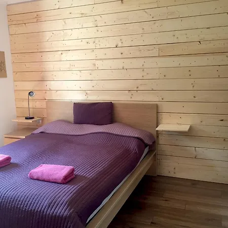 Book-A-Room Salzburg Garden Or Balcony Stay - 2 Bedroom - Air Conditioning & Free Parking * Salzburg